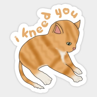 I Kneed you (fluffy orange cat) Sticker